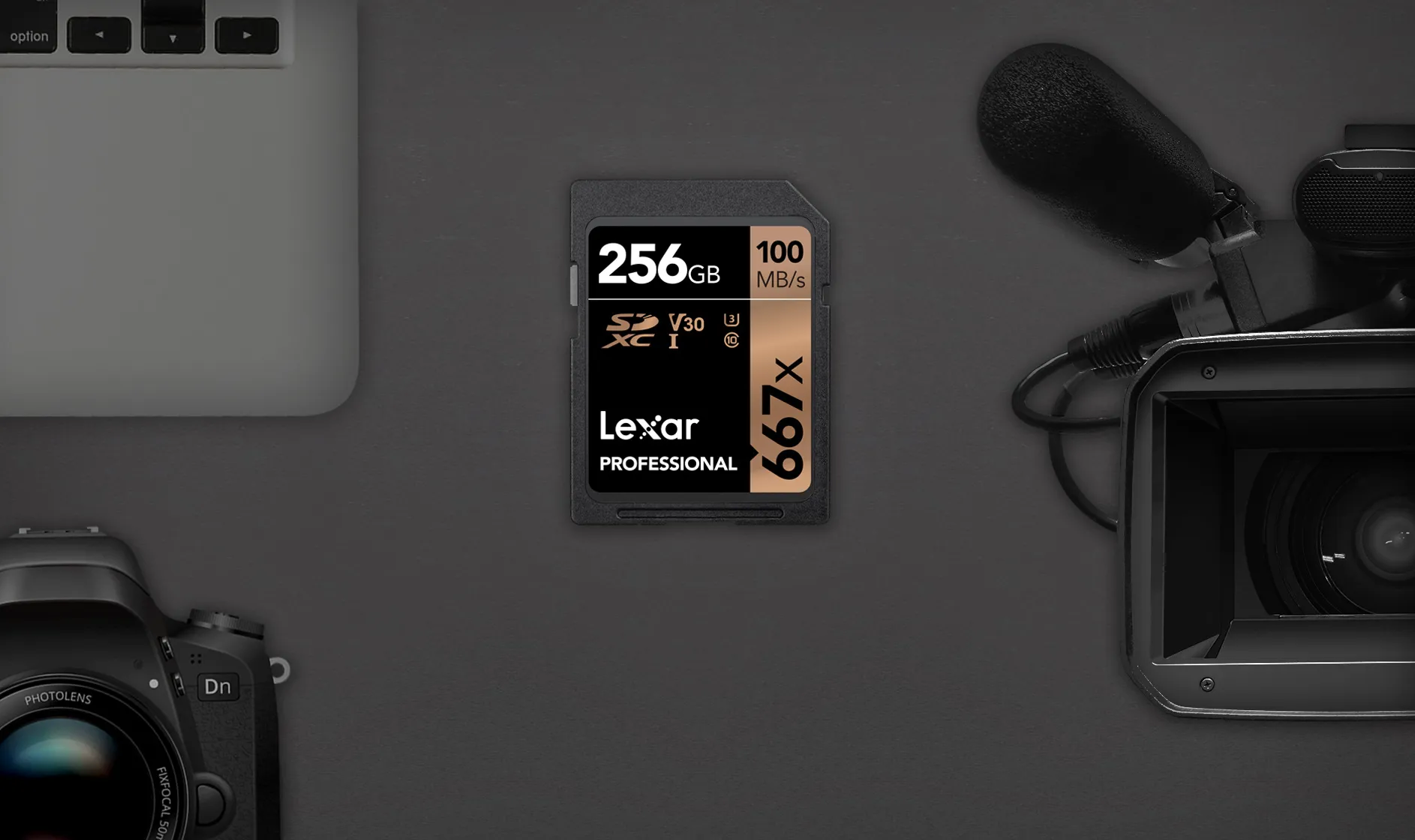 Karta pamięci Lexar Professional SDXC 256GB 667X UHS-I (100 MB/s)